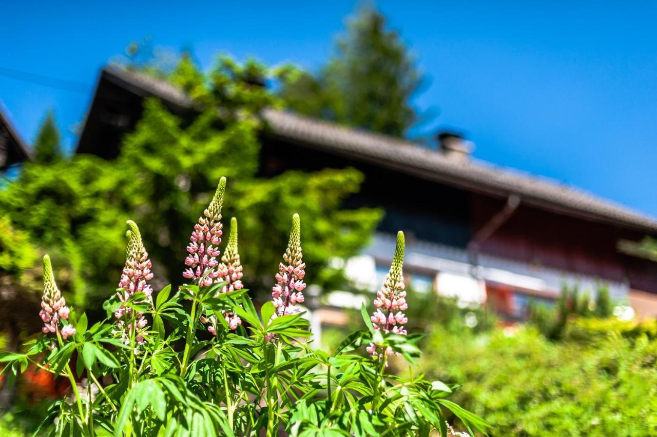 House Moose'T Getaway, Kranjska Gora Villa Exterior foto