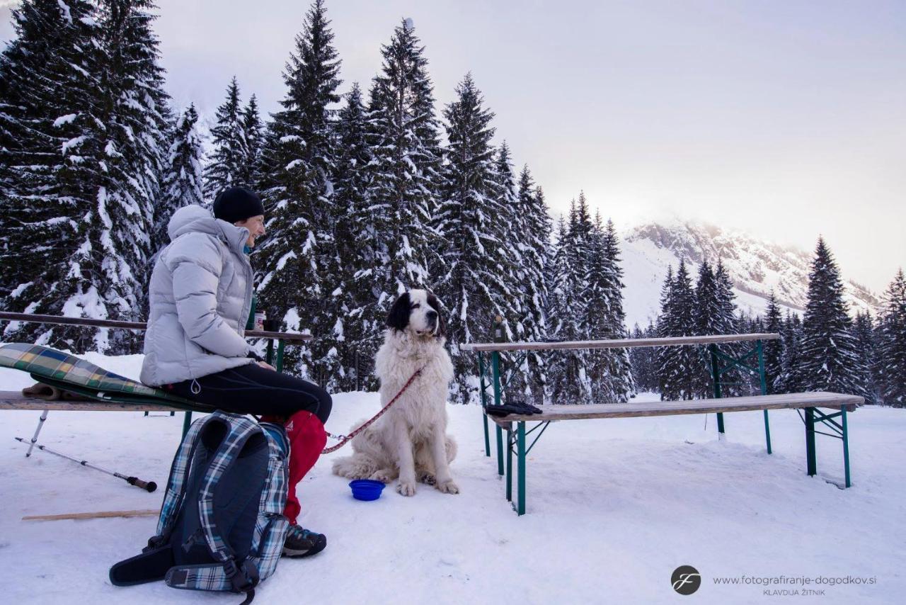 House Moose'T Getaway, Kranjska Gora Villa Exterior foto