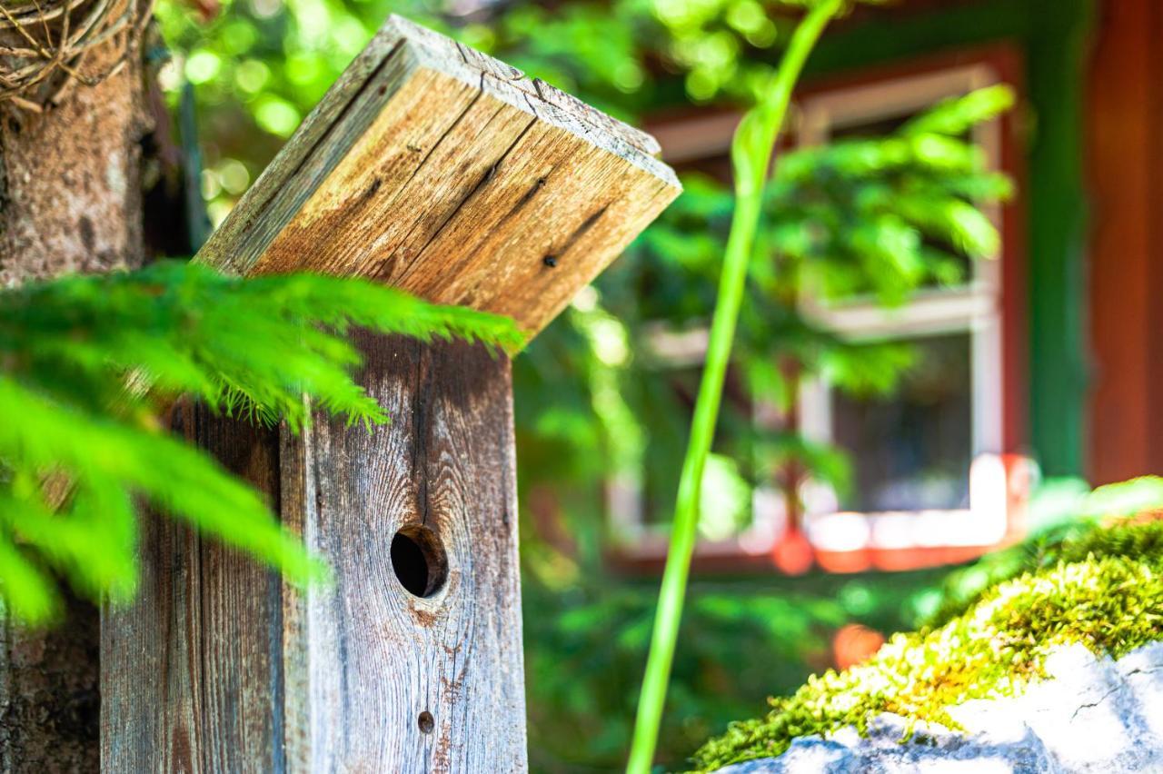 House Moose'T Getaway, Kranjska Gora Villa Exterior foto